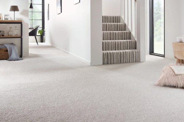 Carpet Cleaning Sydenham